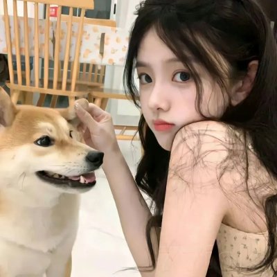登陆新滩头
